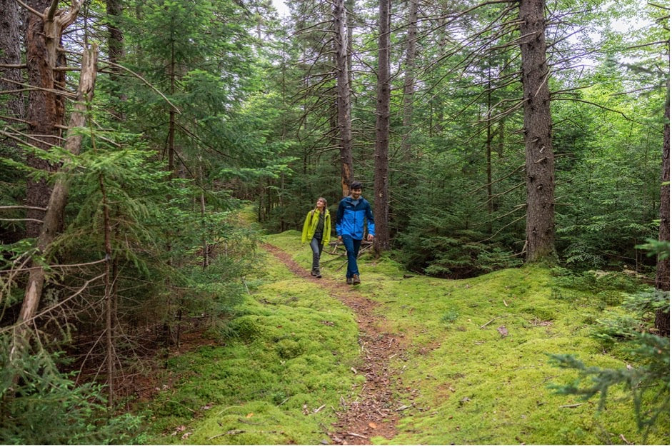 Top 7 Hiking and Camping Trails in the Berkshires