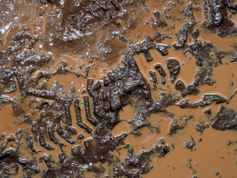 Barbour hury best sale boots