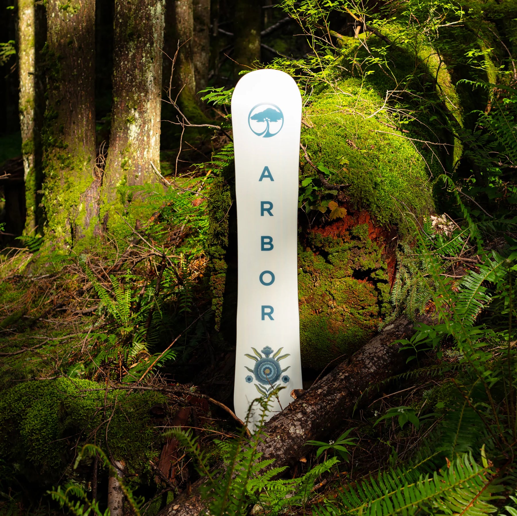Arbor Cadence Rocker Snowboard