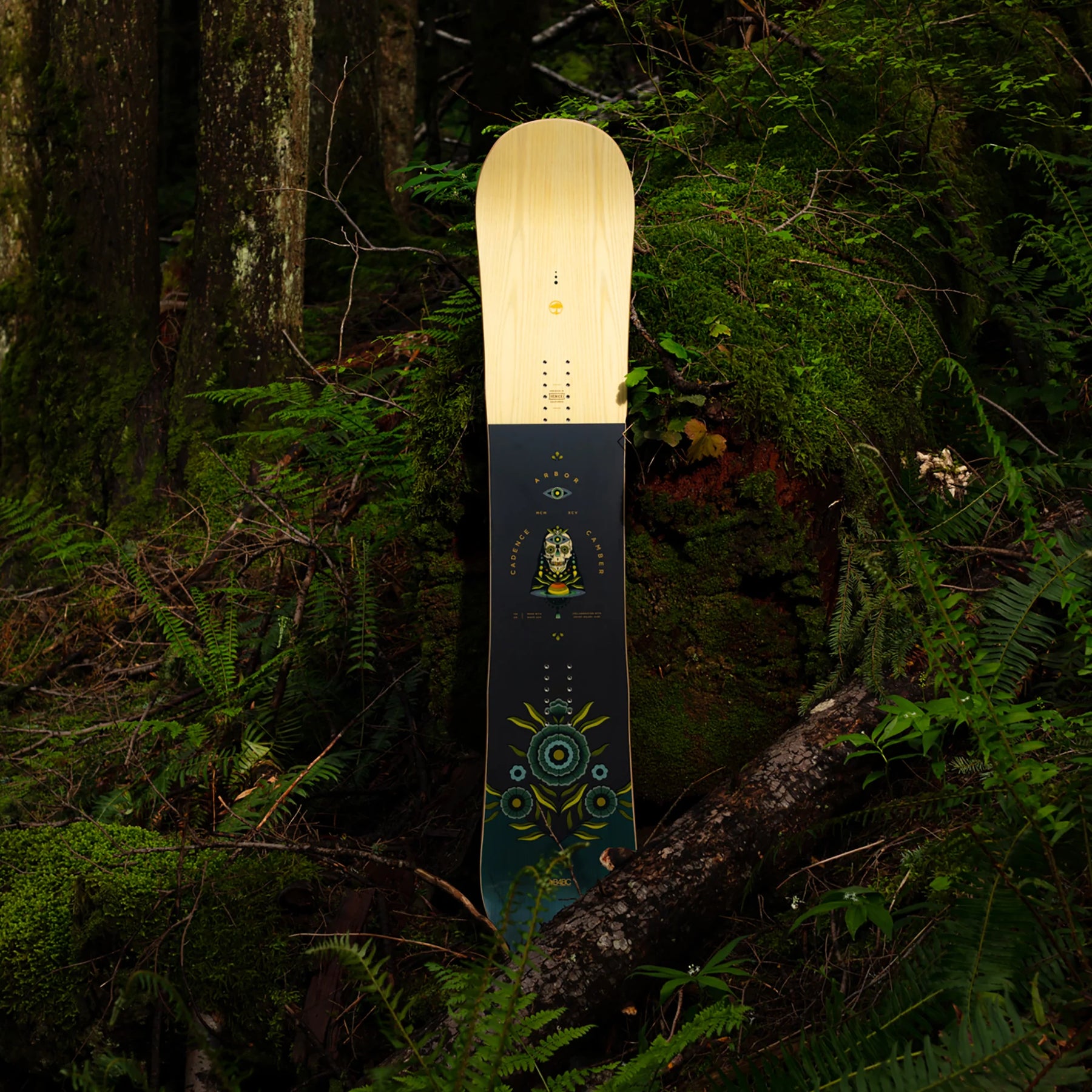 Arbor Cadence Rocker Snowboard