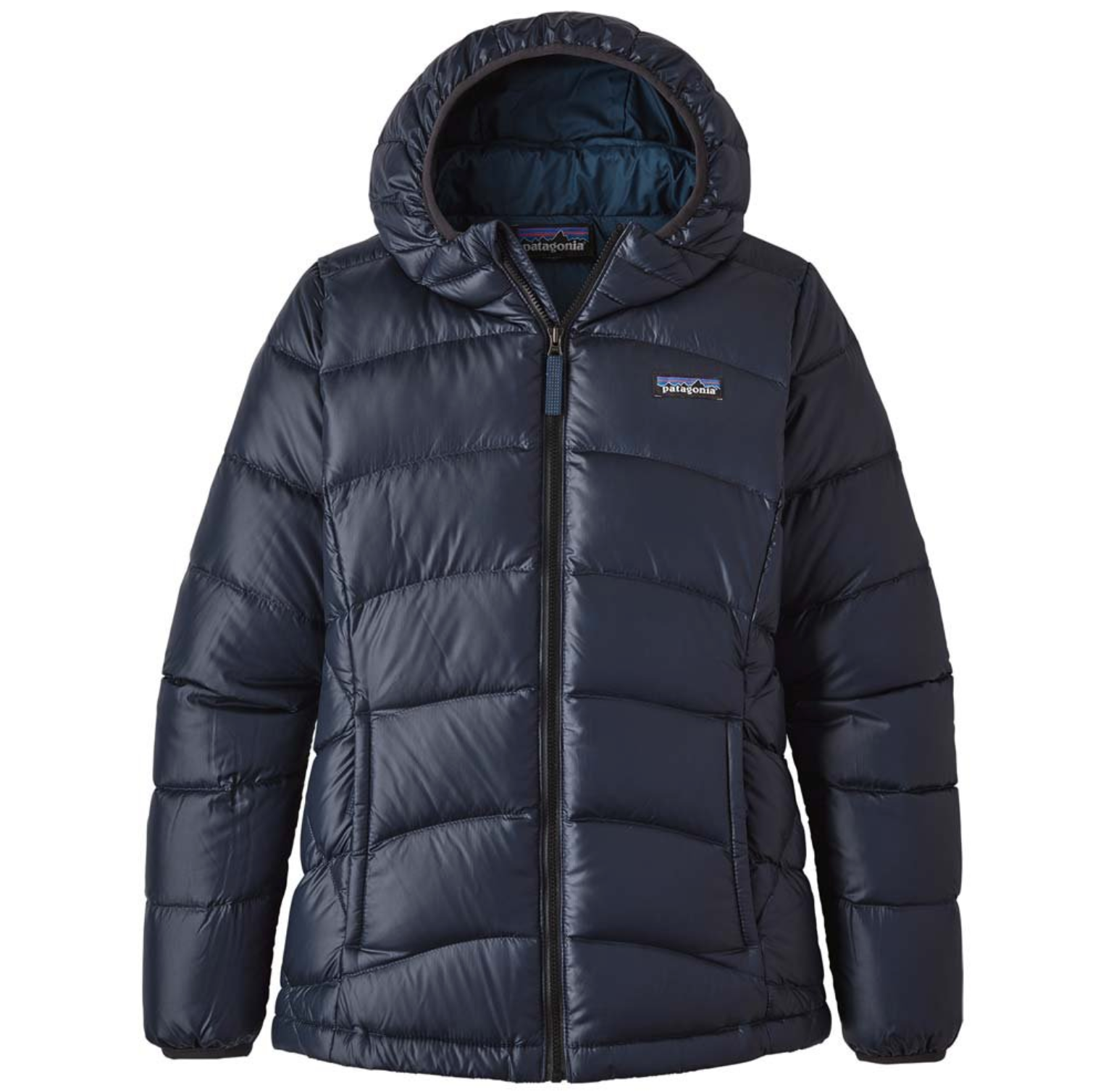 Patagonia Kids' Hi-Loft Down Sweater Hoody