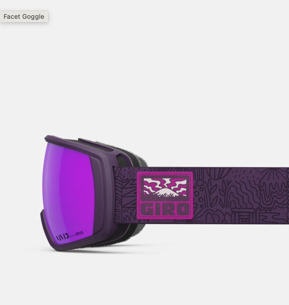 Giro Facet Goggle