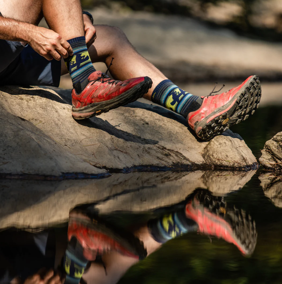 Darn Tough Men's Willoughby Micro-Crew Lightweight Sock