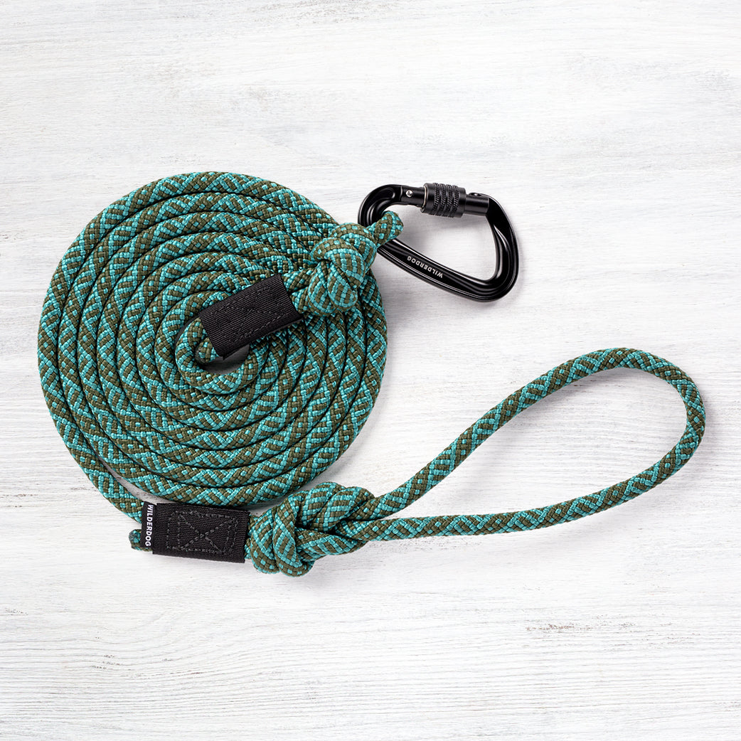 Wolderdog Cascade Carabiner Leash