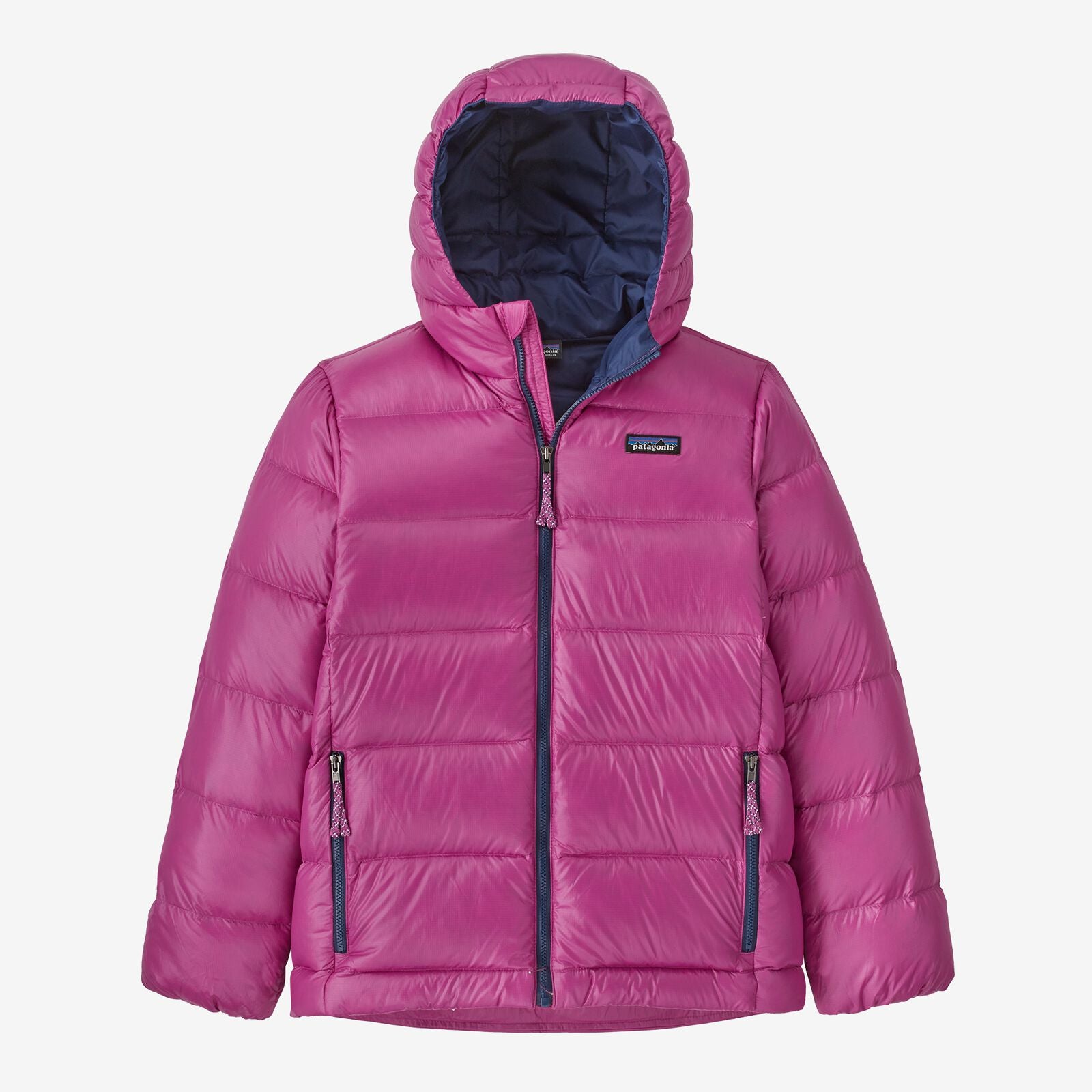 Patagonia Kids' Hi-Loft Down Sweater Hoody