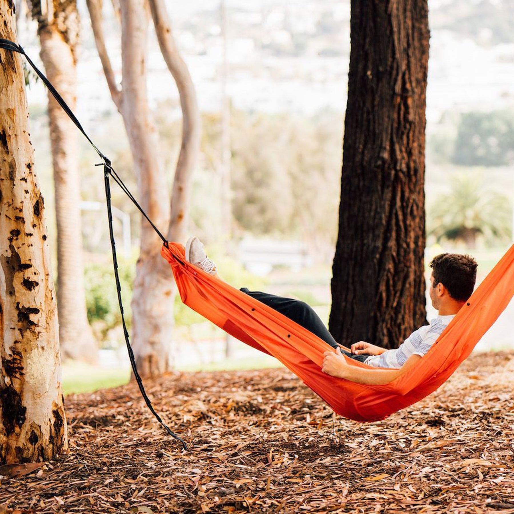 The Campo Tree Straps