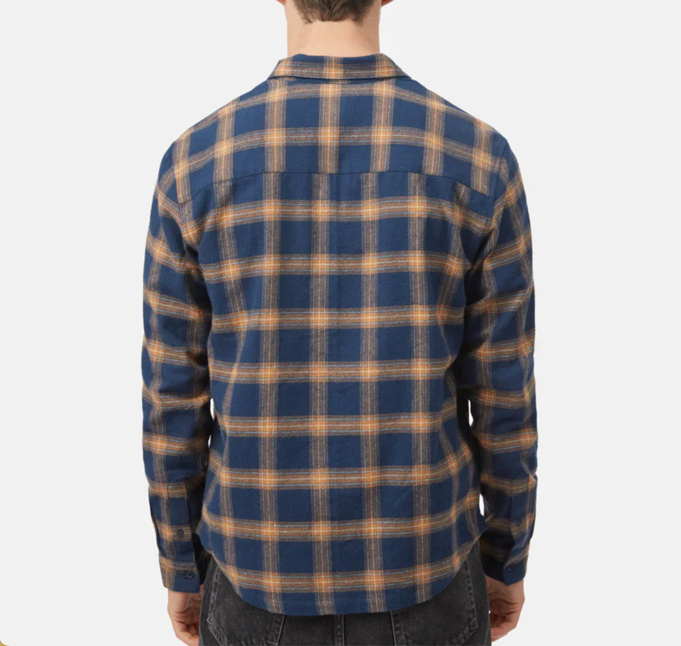 TenTree Men's Kapok Shirt