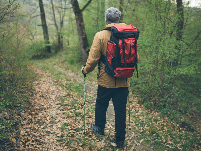 What Are the Benefits of Trekking? Same Benefits as Hiking?