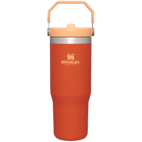 Stanley The IceFlow™ Flip Straw Tumbler