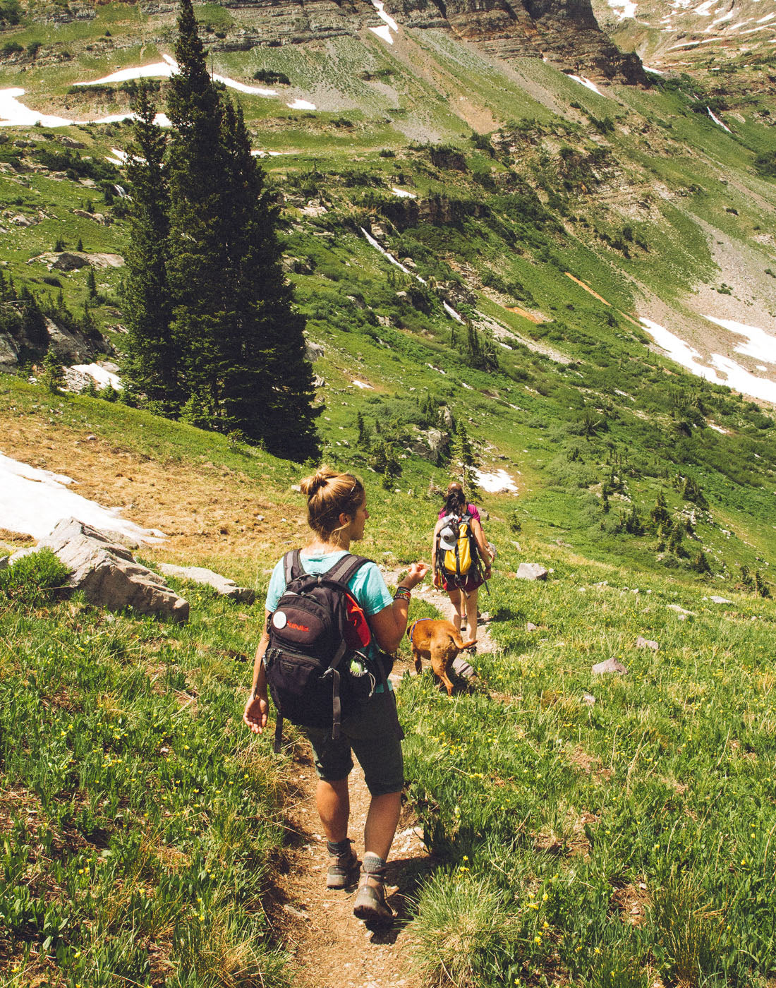 Two women hike downhill with a dog of a dirt trail. There is green grass trees, some snow and rock slabs around them.