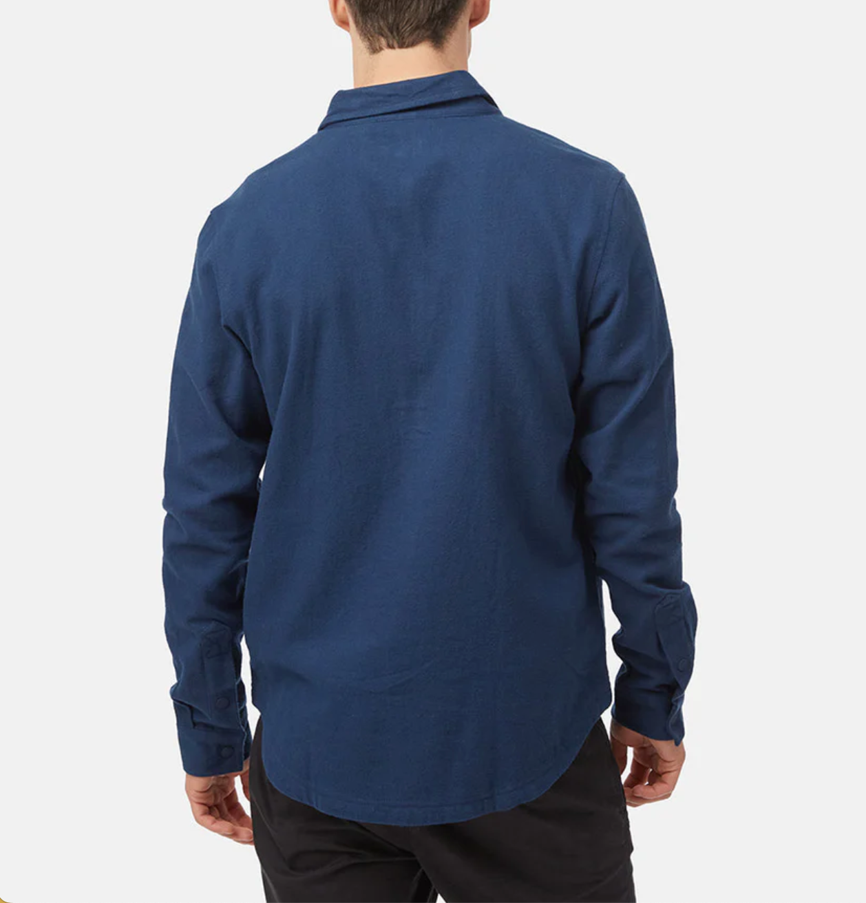 TenTree Men's Kapok Colville Shirt